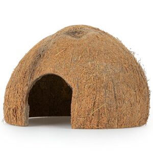 Skorupa kokosa Happet 1/2 nieszczotkowana 6 szt.