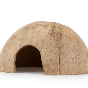 Skorupa kokosa Happet 1/2 szczotkowana 6 szt.