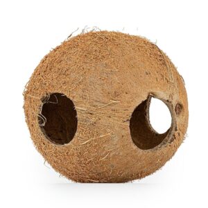 Skorupa kokosa Happet 1/1 nieszczotkowana 3 szt.