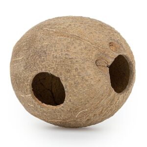 Skorupa kokosa Happet 1/1 szczotkowana 3 szt.