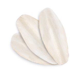 Sepia luz 12cm karton 25szt. Happet